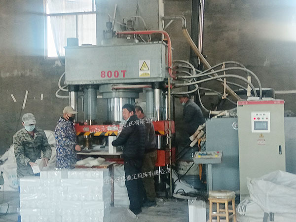 800噸牛羊舔磚液壓機現(xiàn)場